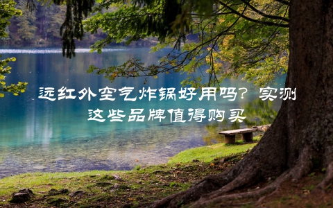 远红外空气炸锅好用吗?实测这些品牌值得购买