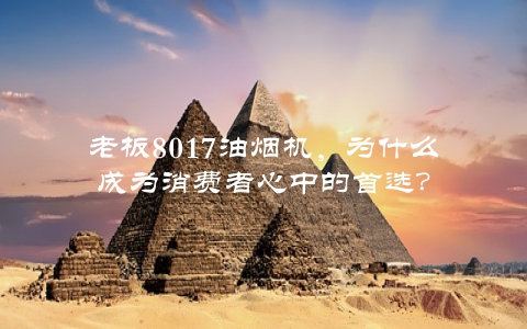 老板8017油烟机，为什么成为消费者心中的首选？