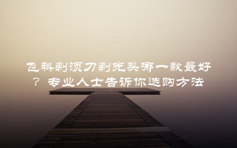飞科剃须刀剃光头哪一款最好？专业人士告诉你选购方法
