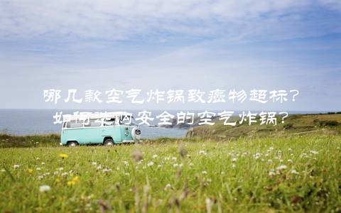 哪几款空气炸锅致癌物超标？如何选购安全的空气炸锅？