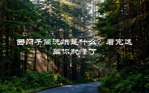 西门子简洗烘是什么？看完这篇你就懂了