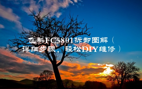 飞科FC5801拆卸图解（详细步骤，轻松DIY维修）