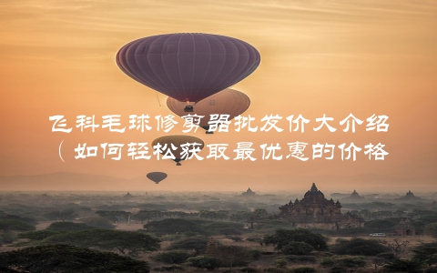 飞科毛球修剪器批发价大介绍（如何轻松获取最优惠的价格）