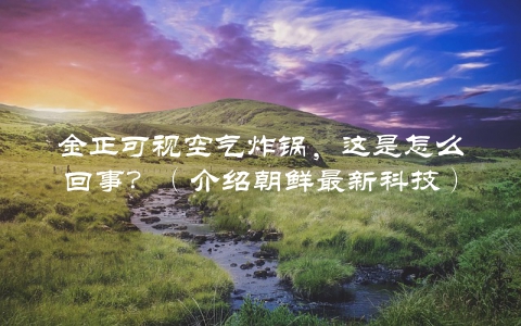 金正可视空气炸锅，这是怎么回事？（介绍朝鲜最新科技）