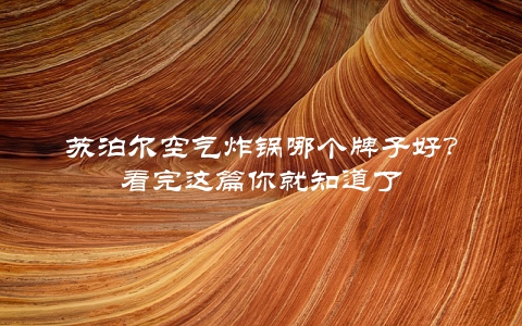 苏泊尔空气炸锅哪个牌子好？看完这篇你就知道了