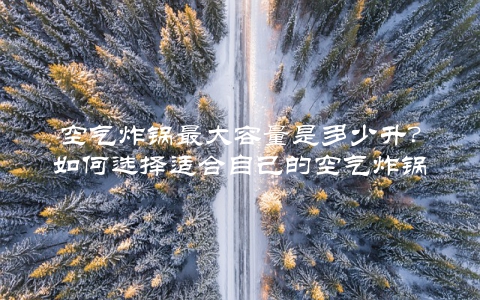 空气炸锅最大容量是多少升?如何选择适合自己的空气炸锅?