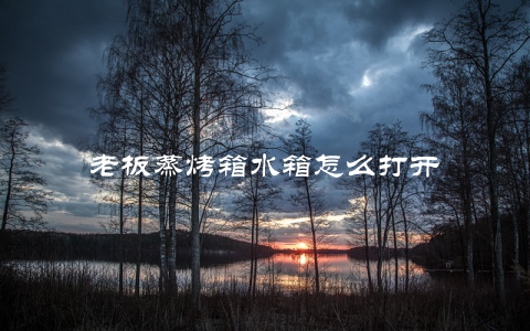 老板蒸烤箱水箱怎么打开