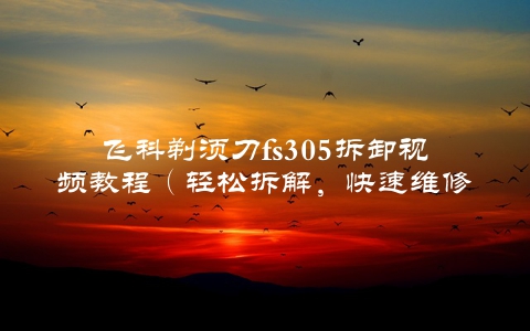 飞科剃须刀fs305拆卸视频教程（轻松拆解，快速维修）
