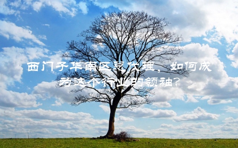 西门子华南区总代理，如何成为这个行业的领袖？