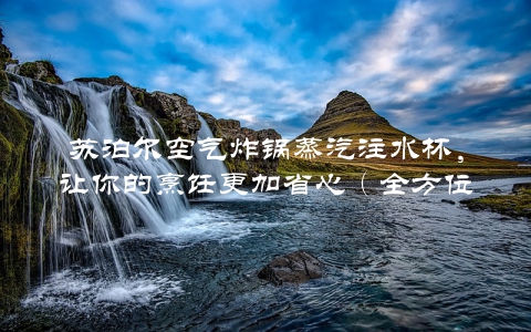 苏泊尔空气炸锅蒸汽注水杯，让你的烹饪更加省心（全方位使用分享）