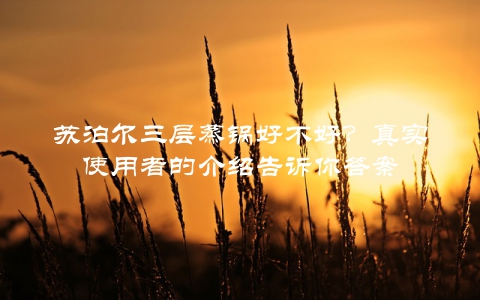 苏泊尔三层蒸锅好不好？真实使用者的介绍告诉你答案