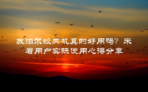 苏泊尔绞肉机真的好用吗？来看用户实际使用心得分享