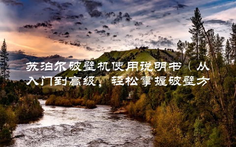 苏泊尔破壁机使用说明书（从入门到高级，轻松掌握破壁方法）