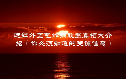 远红外空气炸锅致癌真相大介绍（你必须知道的关键信息）