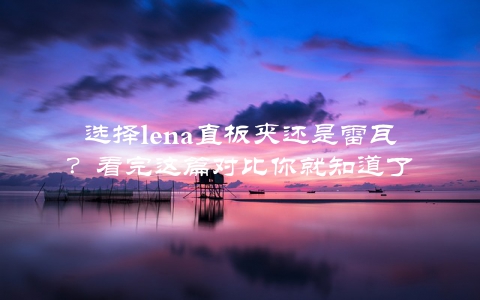 选择lena直板夹还是雷瓦？看完这篇对比你就知道了