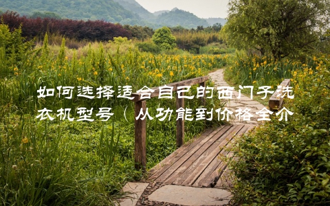 如何选择适合自己的西门子洗衣机型号(从功能到价格全介绍)