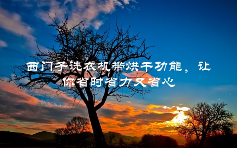 西门子洗衣机带烘干功能,让你省时省力又省心