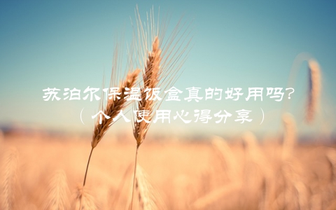 苏泊尔保温饭盒真的好用吗?(个人使用心得分享)