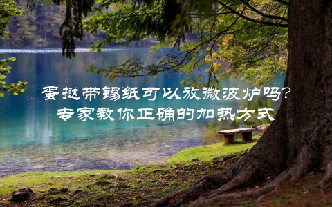 蛋挞带锡纸可以放微波炉吗？专家教你正确的加热方式