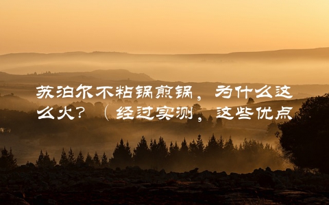 苏泊尔不粘锅煎锅，为什么这么火？（经过实测，这些优点让人爱不释手）