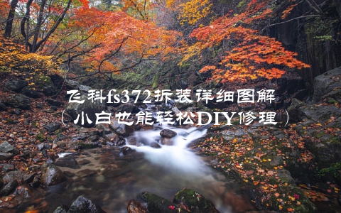 飞科fs372拆装详细图解（小白也能轻松DIY修理）
