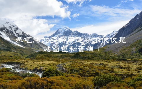 蒸气烤的多种用途(不仅仅是烤面包和蛋糕)