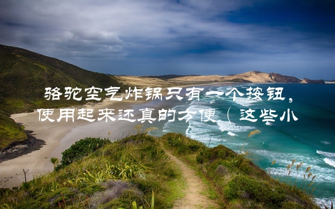骆驼空气炸锅只有一个按钮，使用起来还真的方便（这些小方法让你更爱它）