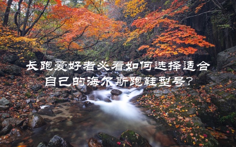 长跑爱好者必看如何选择适合自己的海尔斯跑鞋型号？