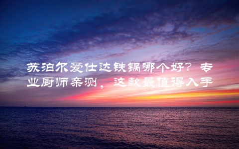 苏泊尔爱仕达铁锅哪个好?专业厨师亲测,这款最值得入手