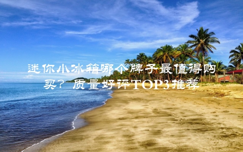 迷你小冰箱哪个牌子最值得购买？质量好评TOP3推荐