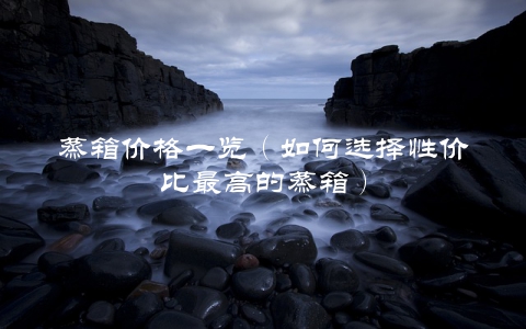 蒸箱价格一览(如何选择性价比最高的蒸箱)