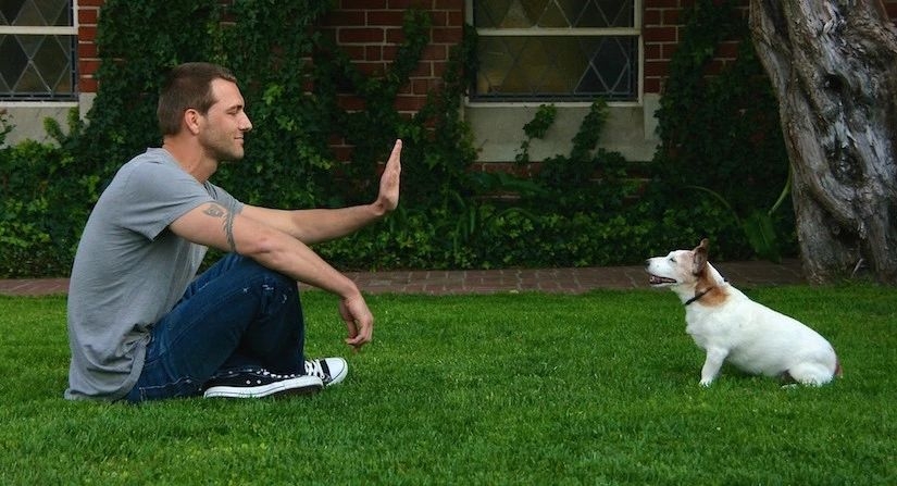 Please sit其实不礼貌，英语怎么表达“请”？