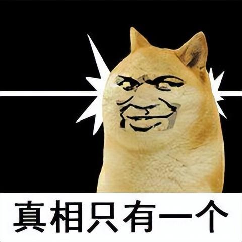 魅族19，要来了