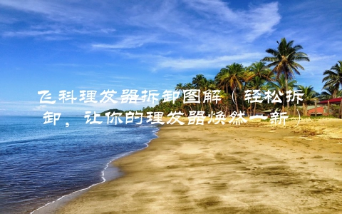 飞科理发器拆卸图解（轻松拆卸，让你的理发器焕然一新）