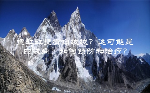 鱼缸缸壁有白绒绒？这可能是白绒病，如何预防和治疗？