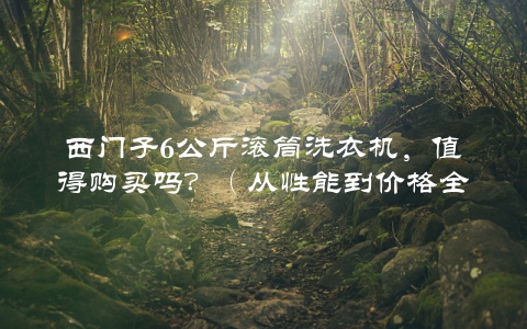 西门子6公斤滚筒洗衣机，值得购买吗？（从性能到价格全方位评测）