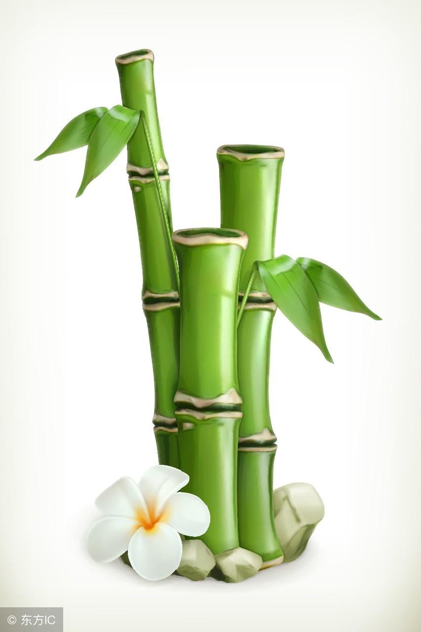 音联速记2：bamboo