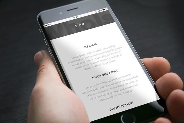 苹果变了，iPhone大杂烩！从SE到12系列的身型大比拼