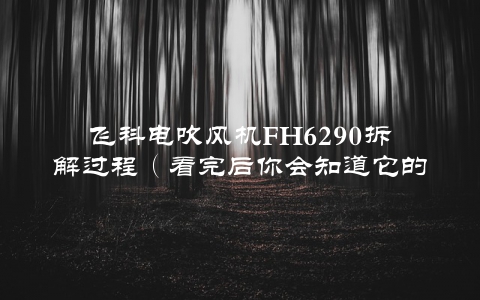 飞科电吹风机FH6290拆解过程（看完后你会知道它的内部结构和工作原理）