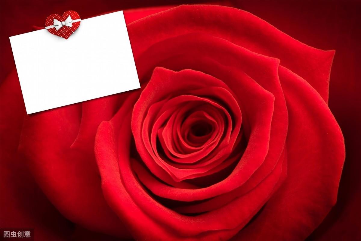 15秒记一个单词（第697个）sympathetic