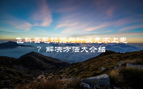 飞科去毛球器为什么充不上电？解决方法大介绍