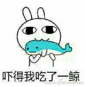 不能相信！500GB硬盘竟然是最贵的！