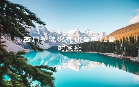 西门子洗碗机10套和12套的区别