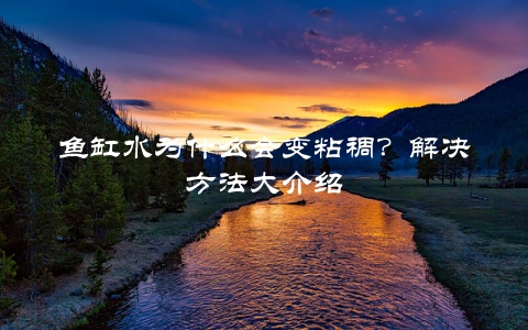 鱼缸水为什么会变粘稠？解决方法大介绍