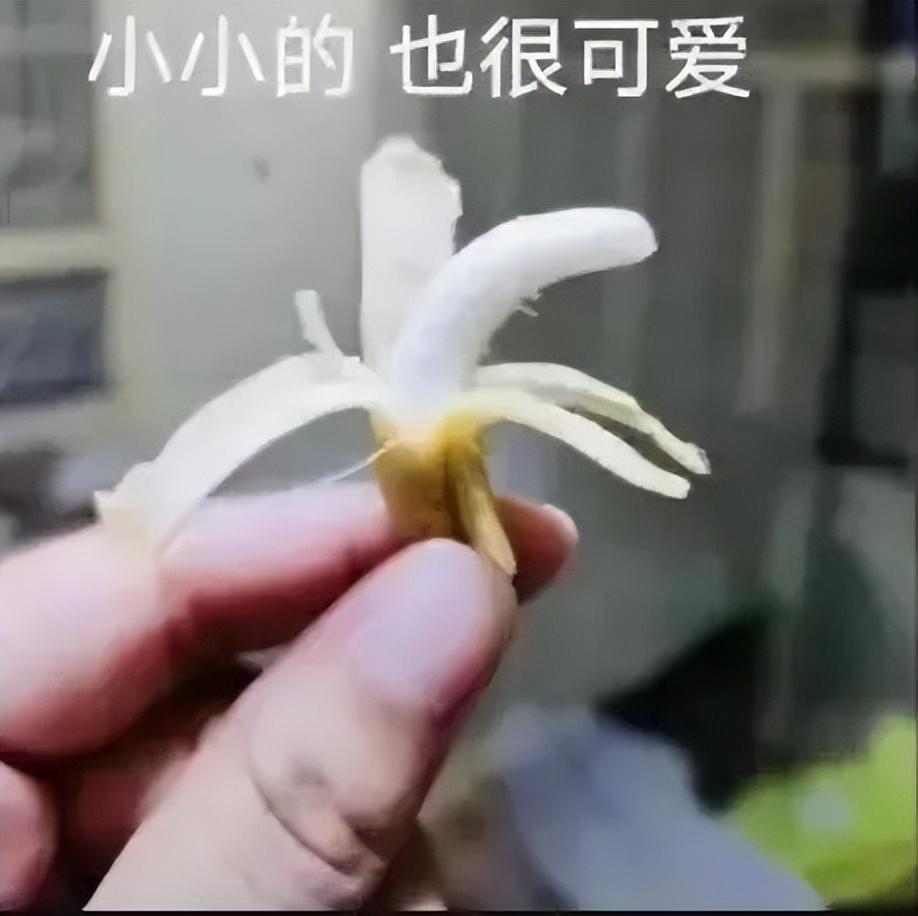 一些曾经的手机系列，可能不会再有了