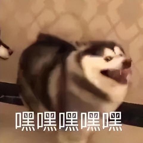 手机上几个好用免费的App,并不常有