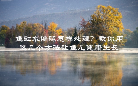 鱼缸水偏碱怎样处理？教你用这几个方法让鱼儿健康生长