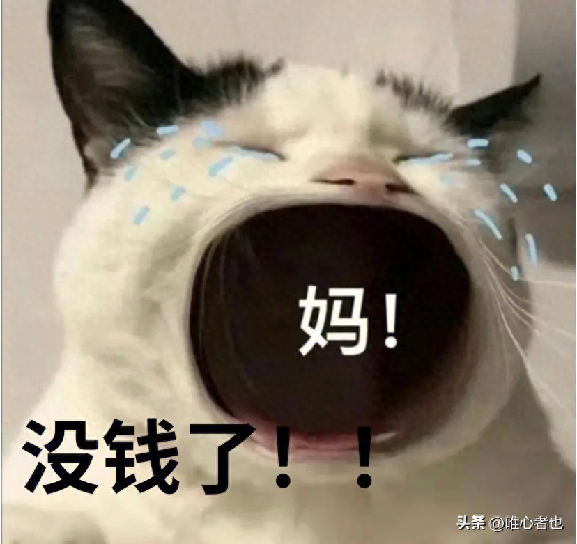 2024年高性价比手机排行榜