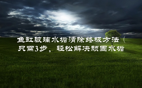 鱼缸玻璃水垢清除终极方法（只需3步，轻松解决顽固水垢问题）