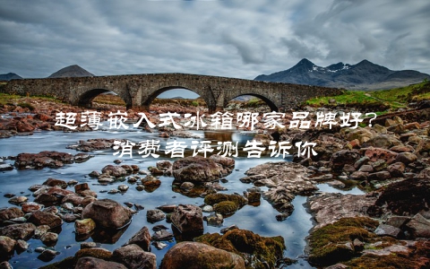 超薄嵌入式冰箱哪家品牌好？消费者评测告诉你